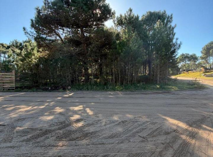 Terreno · 920m²