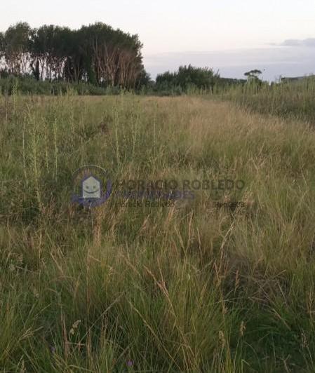 Terreno · 562m²