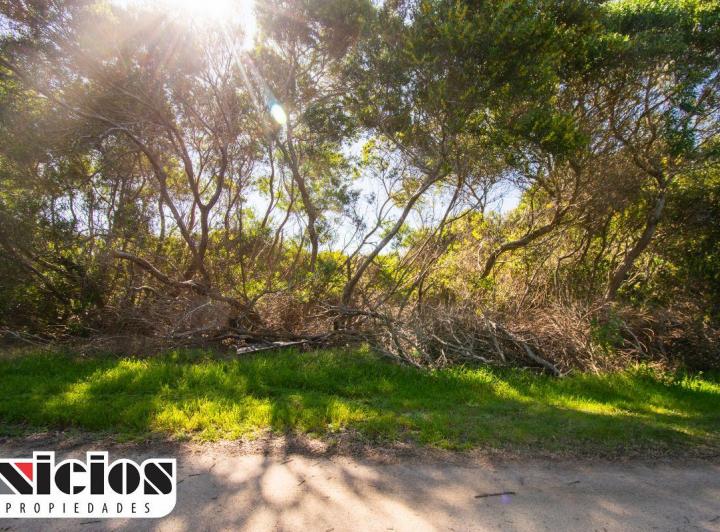 Terreno · 1000m²