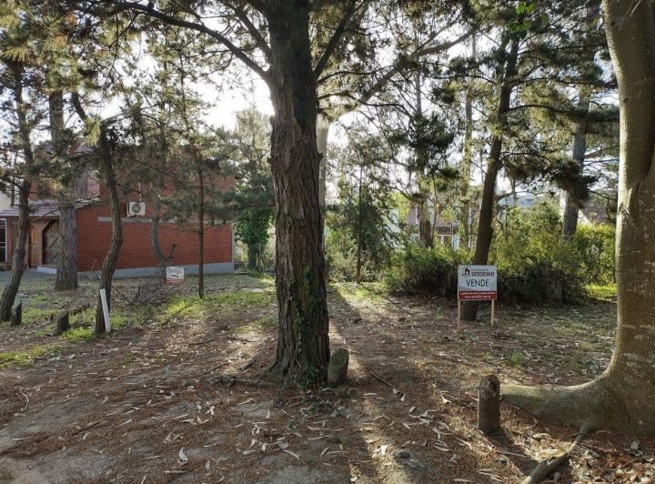 Terreno · 251m²