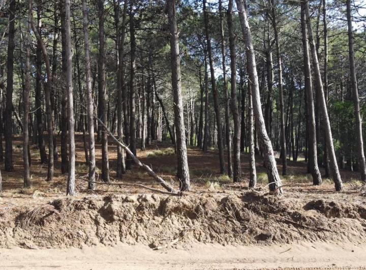 Terreno · 933m²