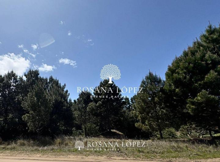 Terreno · 2030m²