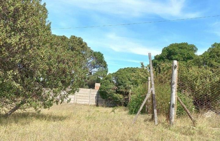 Terreno · 230m²