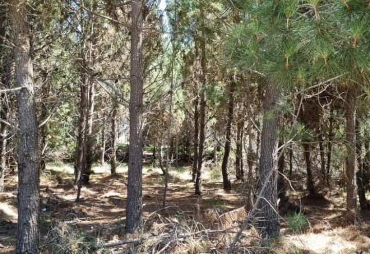 Terreno · 941m²