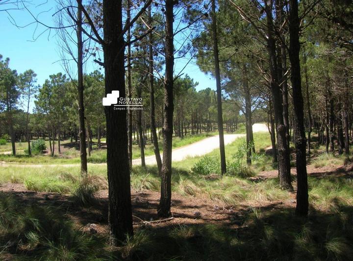 Terreno · 790m²