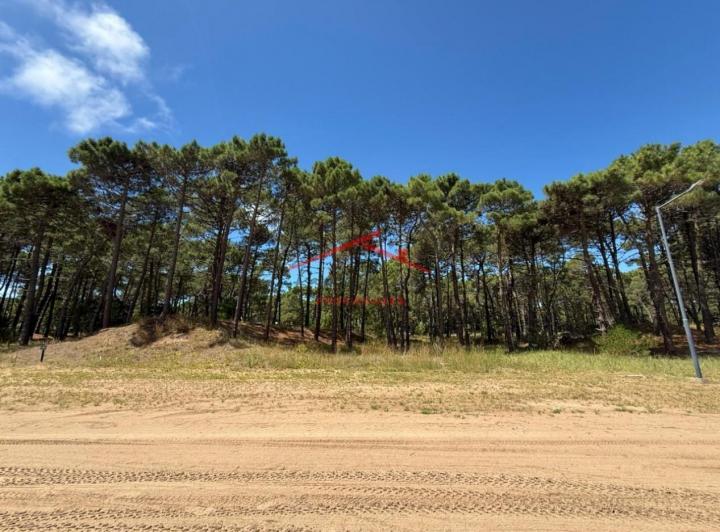 Terreno · 1040m²