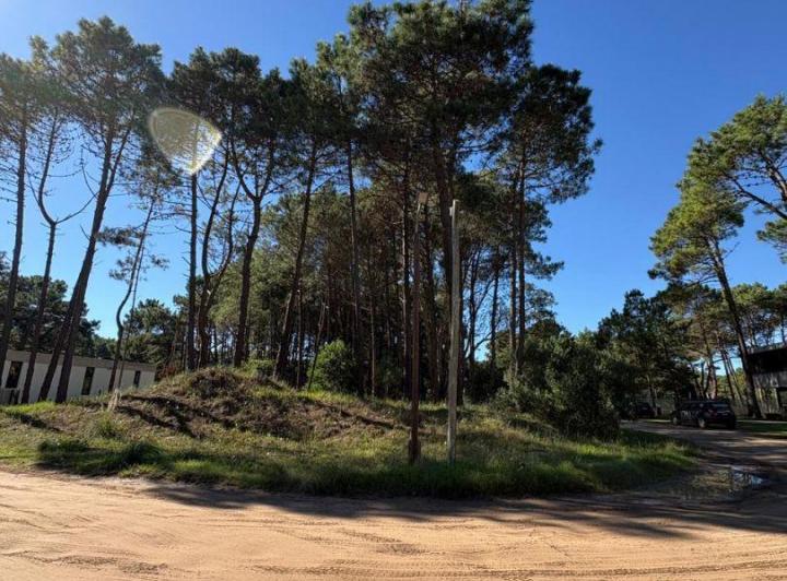 Terreno · 995m²