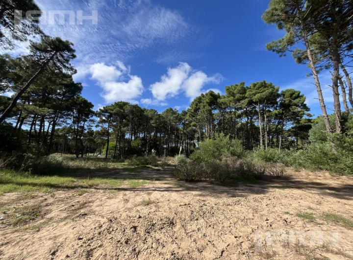 Terreno · 1427m²