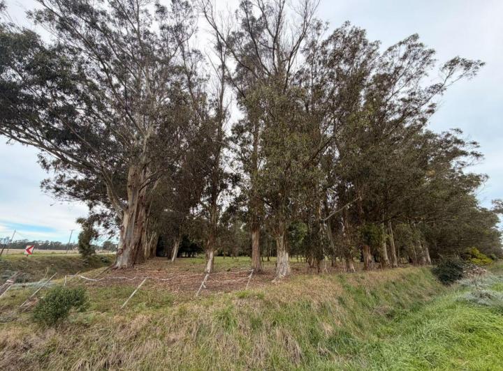 Terreno · 2600m²