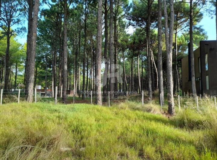 Terreno · 1009m²