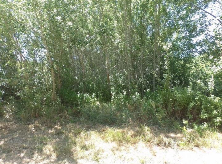 Terreno · 550m²
