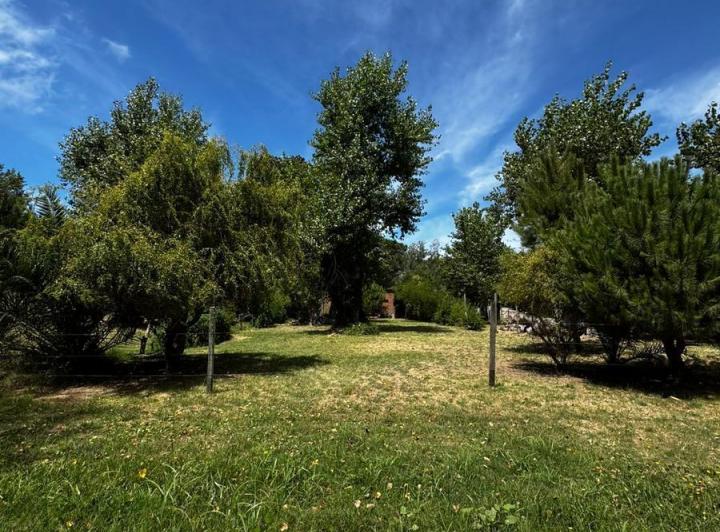 Terreno · 555m²