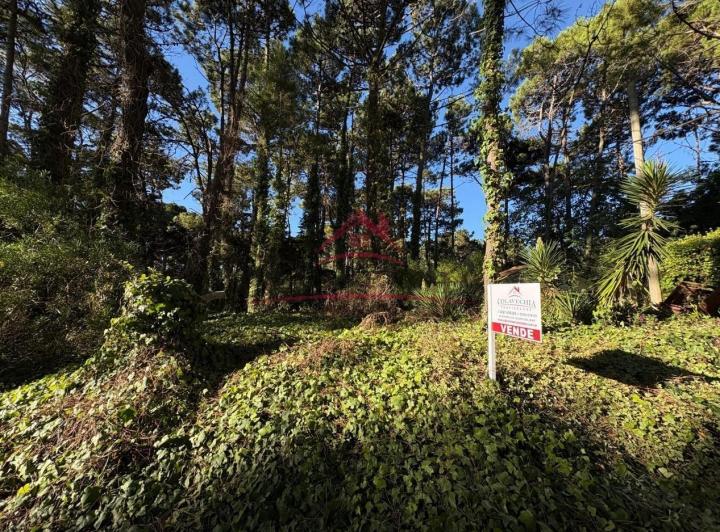 Terreno · 525m²