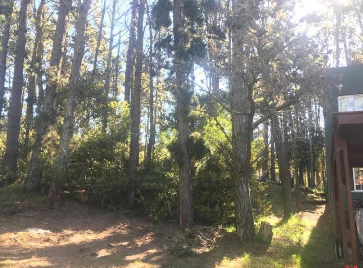 Terreno · 625m²