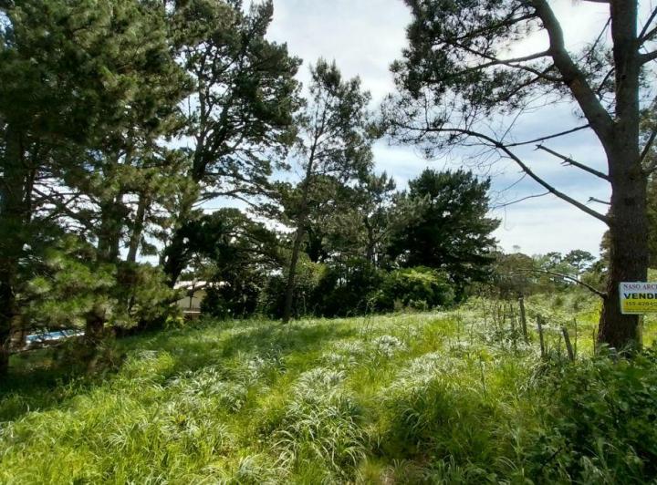 Terreno · 600m²