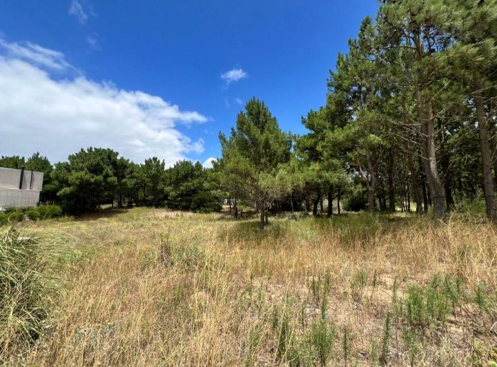 Terreno · 972m²