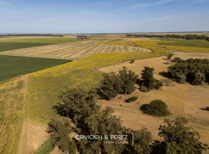 Terreno · 1040m²