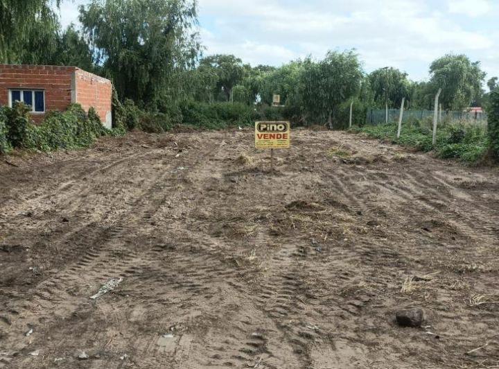 Terreno · 50m²