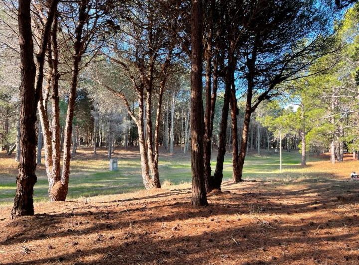 Terreno · 1000m²