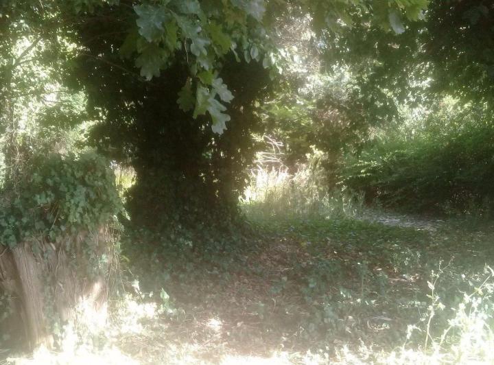 Terreno · 450m²