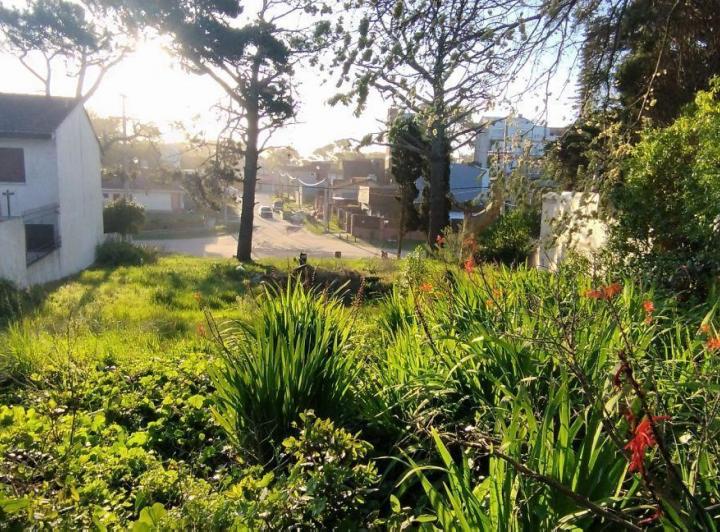 Terreno · 1350m²