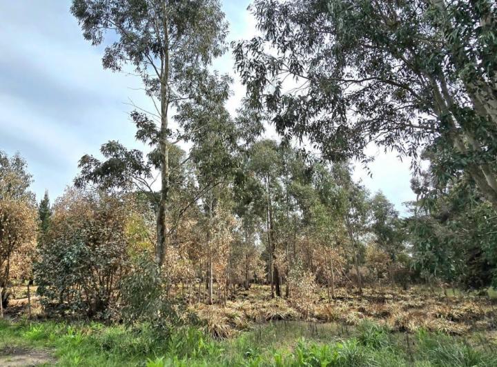 Terreno · 420m²