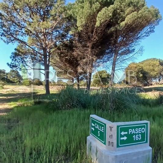 Terreno · 920m²