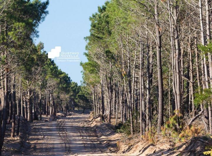 Terreno · 846m²