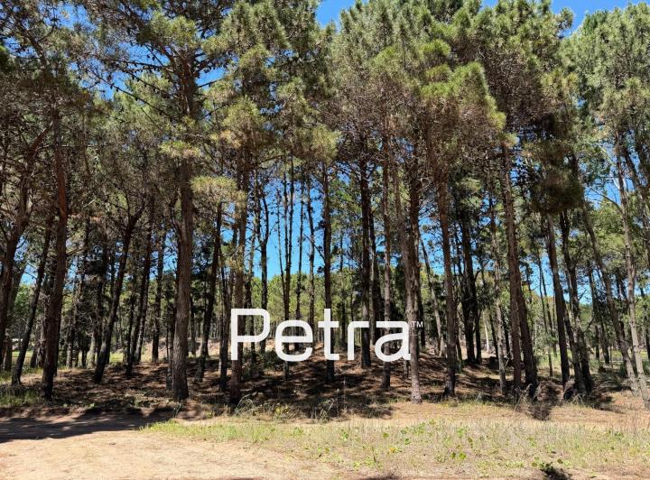 Terreno · 928m²