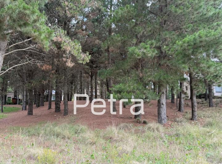 Terreno · 920m²