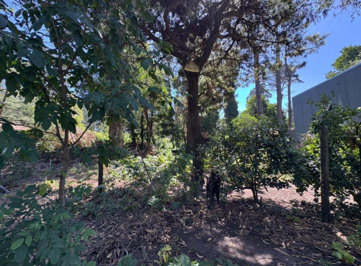 Terreno · 450m²