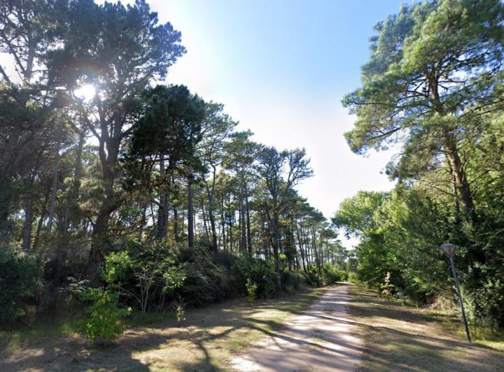 Terreno · 2385m²