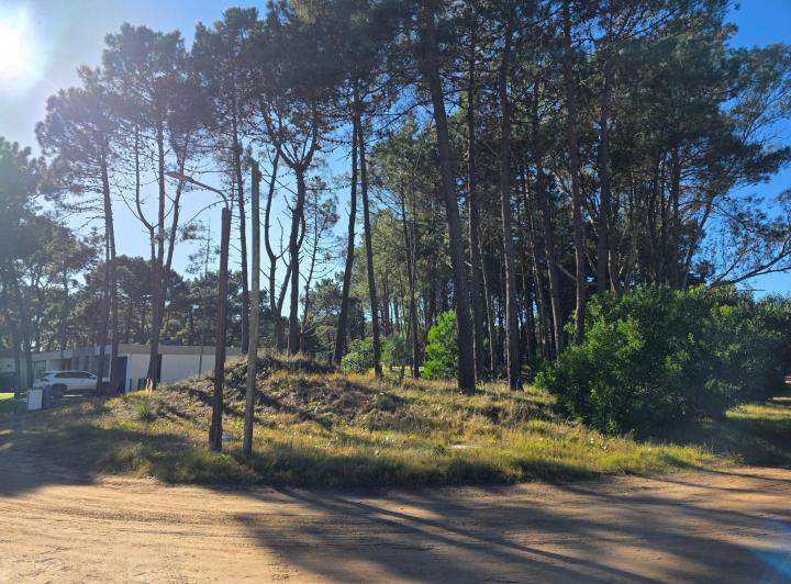 Terreno · 996m²
