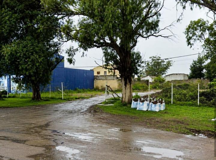 Terreno · 1130m²