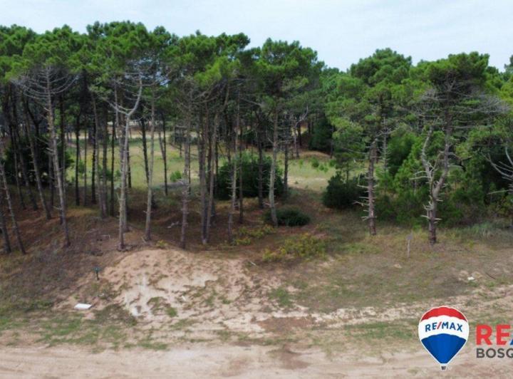 Terreno · 1055m²