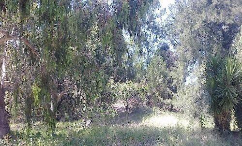 Terreno · 630m²