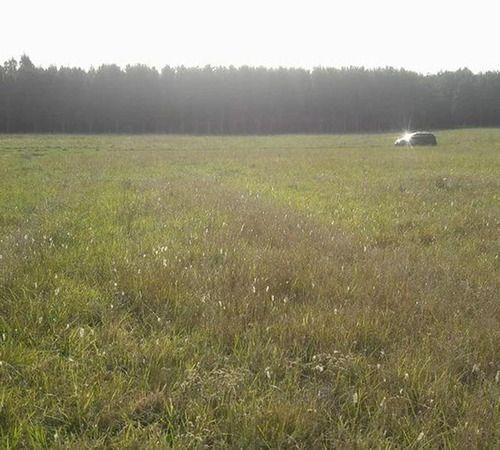 Terreno · 450m²