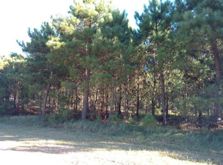 Terreno · 1130m²