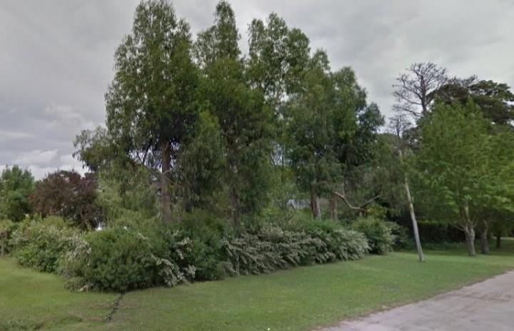 Terreno · 1m²