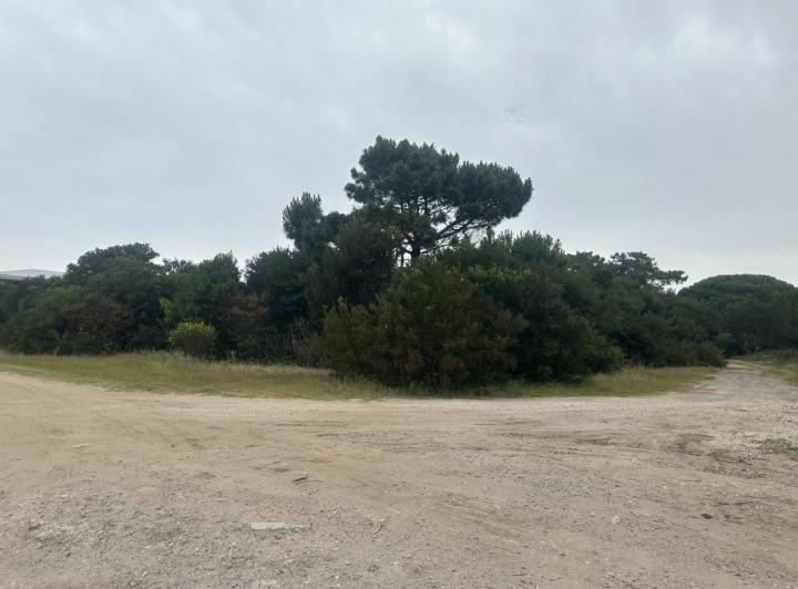 Terreno · 4963m² · 1 Ambiente