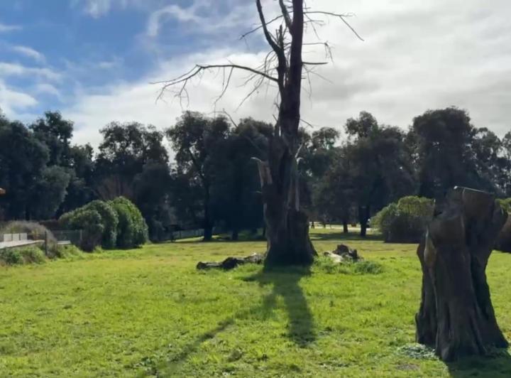 Terreno · 900m²