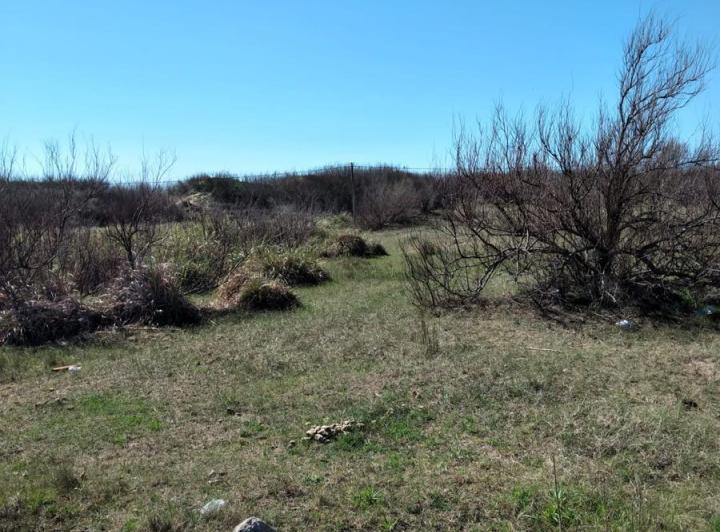 Terreno · 631m²