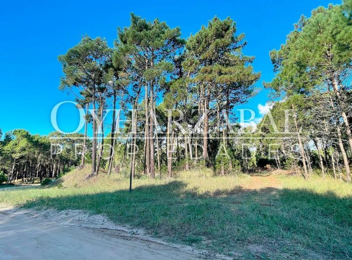 Terreno · 1134m²