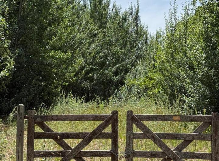 Terreno · 475m²