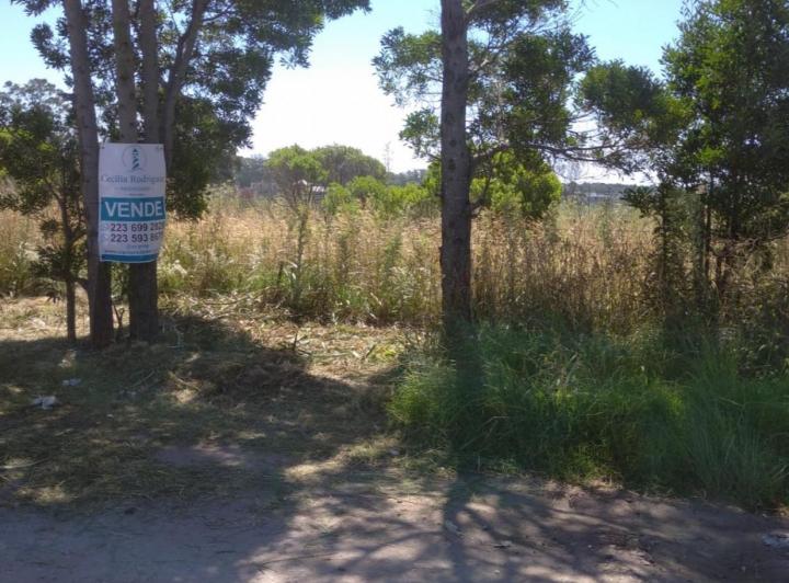 Terreno · 397m²
