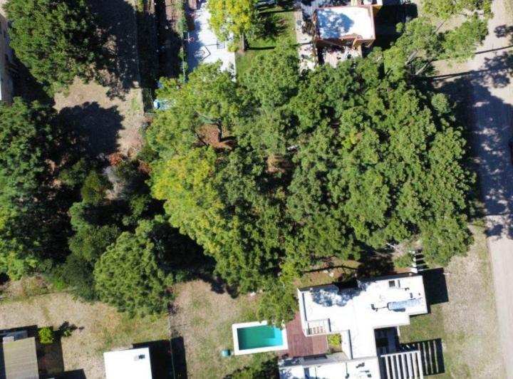 Terreno · 731m²