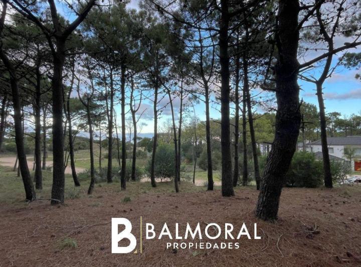 Terreno · 1243m²