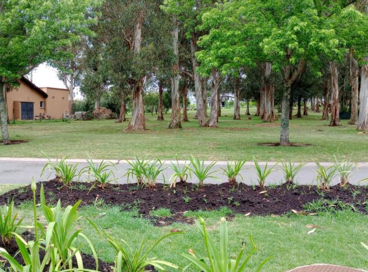 Terreno · 975m²