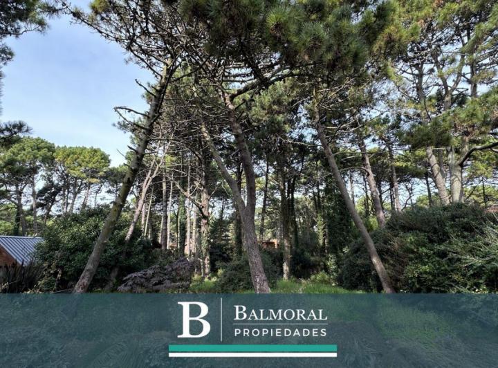 Terreno · 787m²
