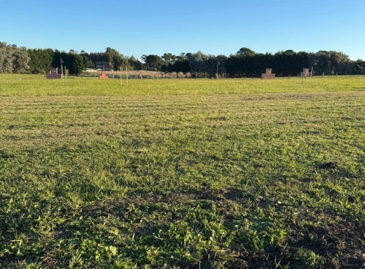Terreno · 620m²